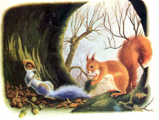 قصه کودکانه «سنجاب بازیگوش»-داستانهای مصور رنگی برای کودکان-ارشیو قصه و داستان ایپابفا